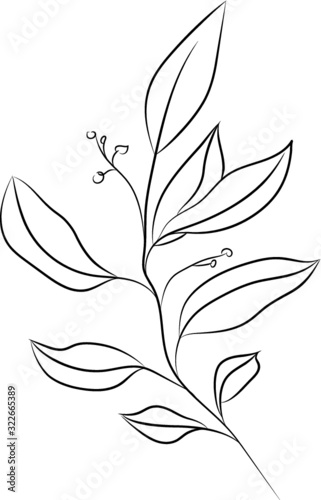 Colorless silhouette season leaves, branch, monochrome sketches outline, isolated illustration. Vector. Colorless dry flora