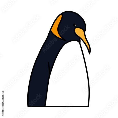 emperor penguin on white background