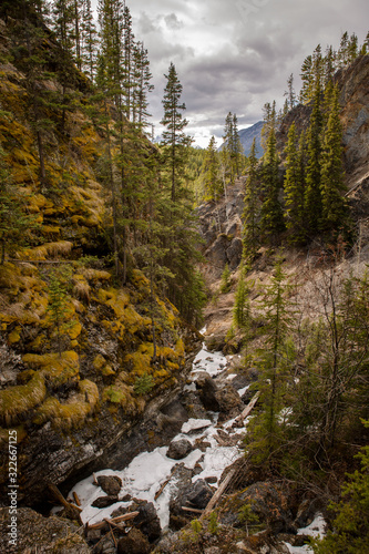 River canyon through rocky mountain forest