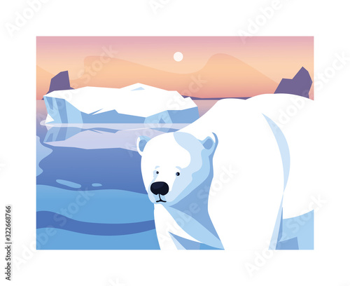 polar bear at the north pole, arctic landscape