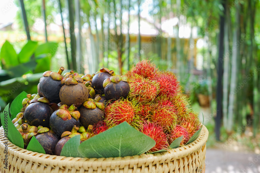 Rambutan and mangosteen in wicker basket at outdoor bamboo garden.