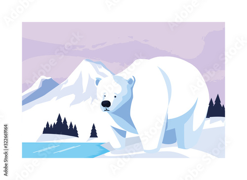 polar bear at the north pole  arctic landscape