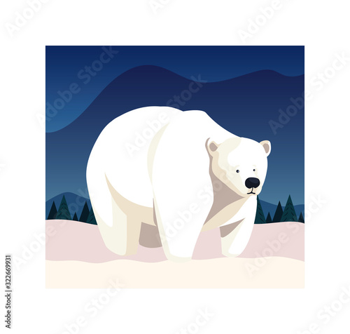 polar bear at the north pole, arctic landscape