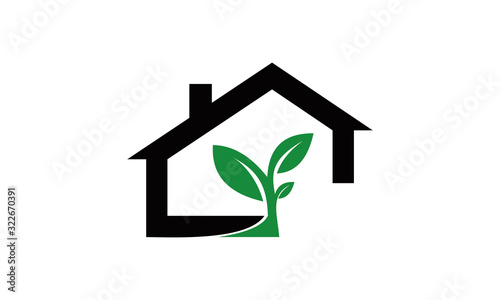 fresh eco home vector