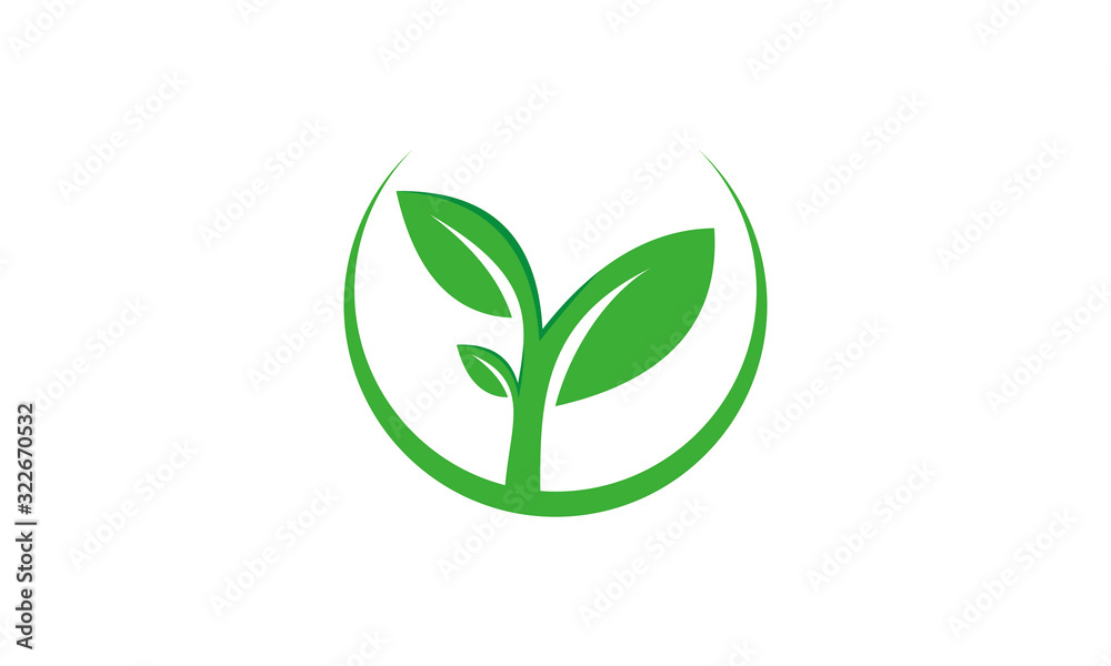vector green leaf logo vector green leaf logo