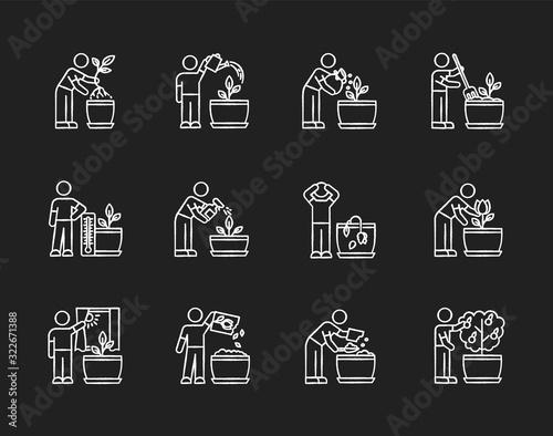 Houseplant care chalk white icons set on black background. Indoor gardening steps. Repotting, fertilizing. Planting flower seeds. Watering, spraying. Isolated vector chalkboard illustrations