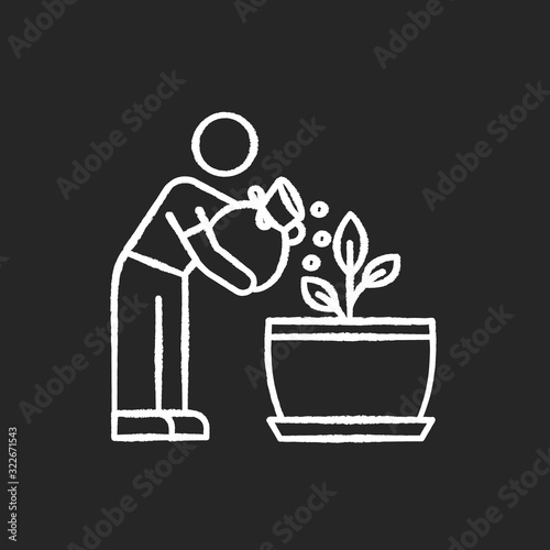 Fertilizing seedling chalk white icon on black background. Feeding sapling. Plant growing, planting process. Indoor gardening. Growth supplements, amendments. Isolated vector chalkboard illustration