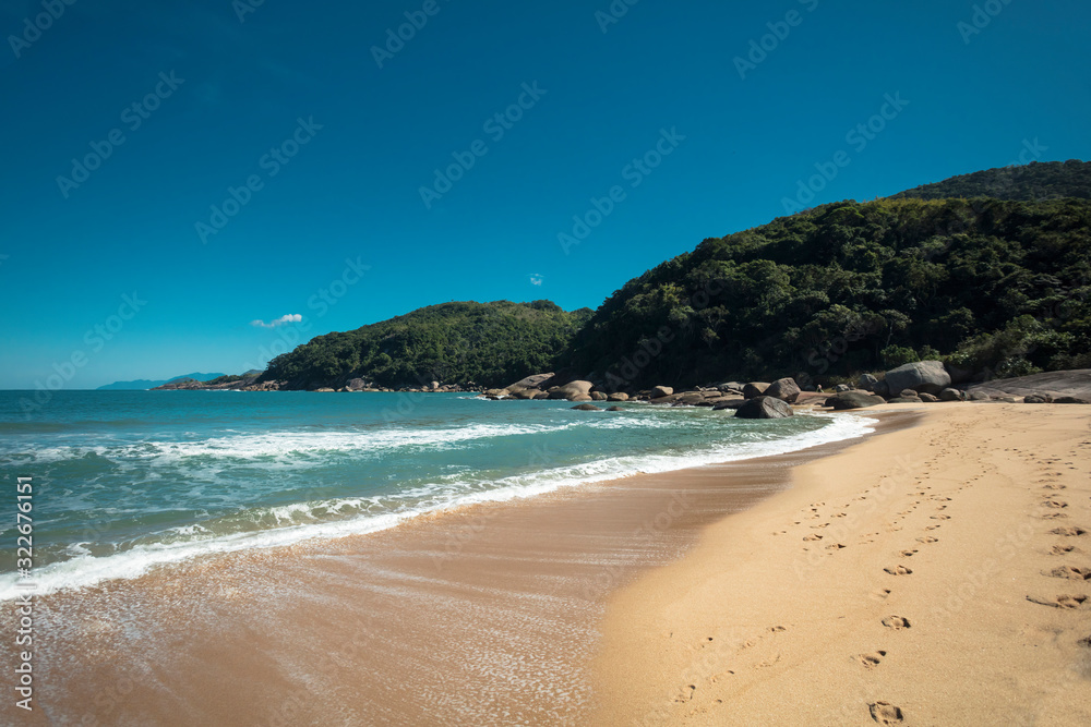 Beautiful Parnaioca beach with crystal blue water, rocks and clear sand, deserted tropical beach on the sunny coast of Rio de Janeiro, Ilha Grande in the city of Agnra dos Reis, Brazil