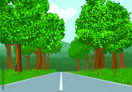 Vector illustration of trees along the highway