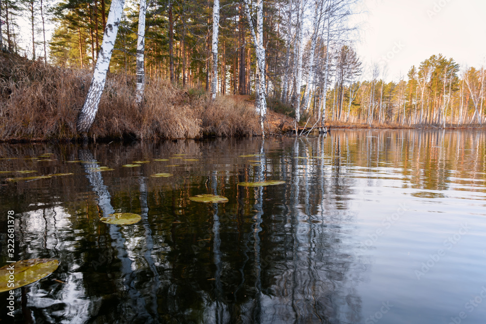 Obraz premium Trees in the autumn forest are reflected in the lake on a Sunny day
