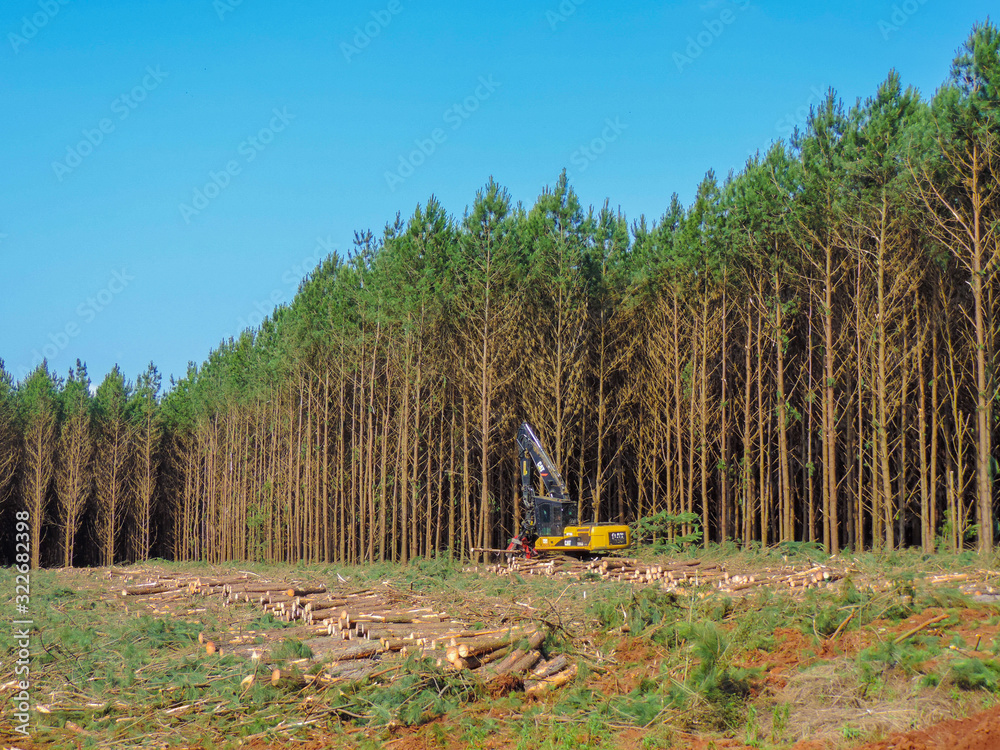 Logging Equipment - Timber Harvesting