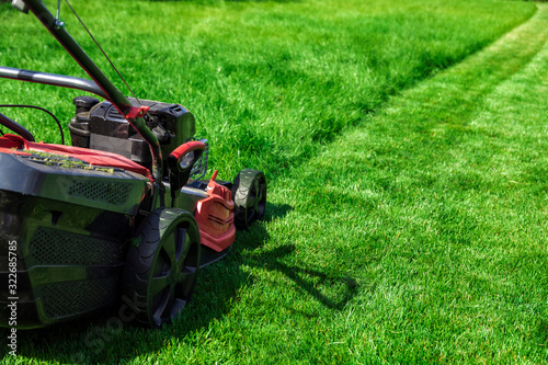 Obraz na plátně Lawn mower cutting green grass in backyard, mowing lawn