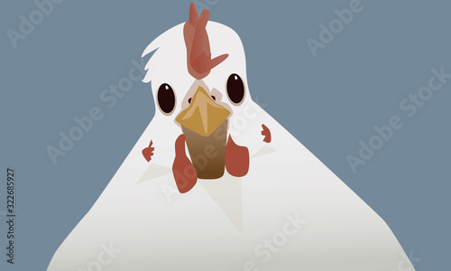 White Easter Egger Chicken Laying an Egg