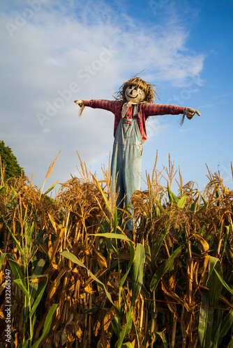 Obraz na plátne Happy scarecrow