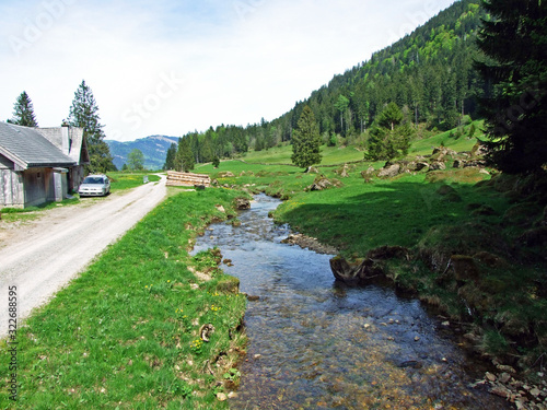 Ijentaler Bach stream in the Ijental Alpine valley and in the Obertoggenburg region, Nesslau - Canton of St. Gallen, Switzerland photo