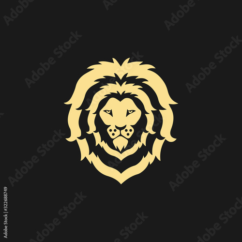 Fototapeta Naklejka Na Ścianę i Meble -  Lion Logo Template vector icon illustration design