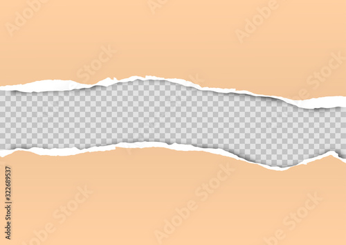 Torn paper on transparent background with space for text. Vector illustration.	