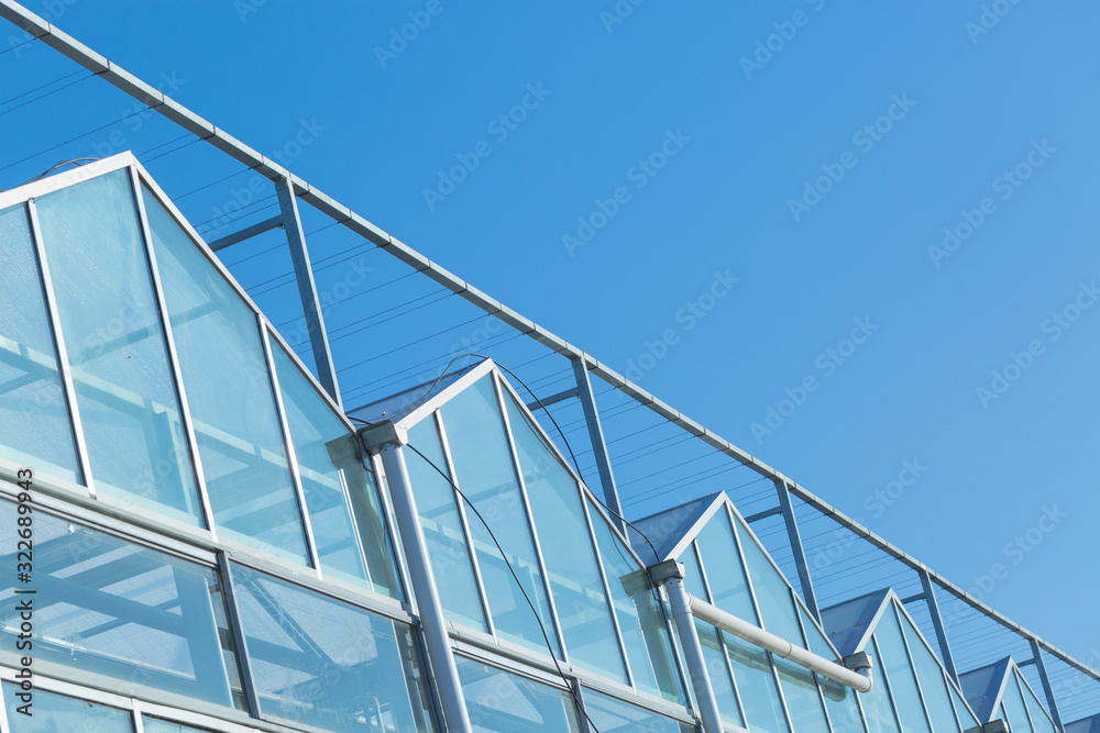 Close-up of steel structure greenhouse structure Close-up of steel structure greenhouse structure