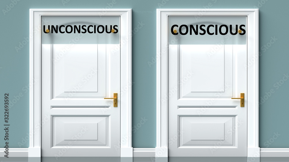 Unconscious and conscious as a choice - pictured as words Unconscious, conscious on doors to show that Unconscious and conscious are opposite options while making decision, 3d illustration - obrazy, fototapety, plakaty 