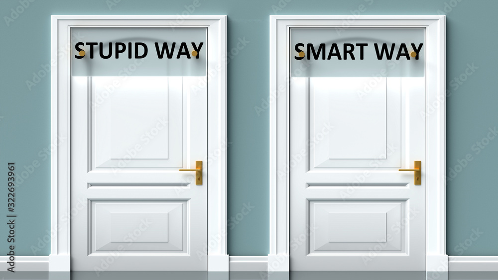 Stupid way and smart way as a choice - pictured as words Stupid way, smart way on doors to show that Stupid way and smart way are opposite options while making decision, 3d illustration Stupid way and smart way as a choice - pictured as words Stupid way, smart way on doors to show that Stupid way and smart way are opposite options while making decision, 3d illustration