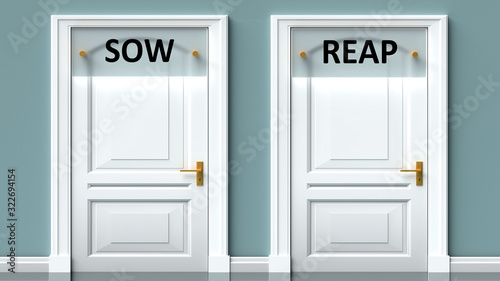 Εκτύπωση καμβά Sow and reap as a choice - pictured as words Sow, reap on doors to show that Sow