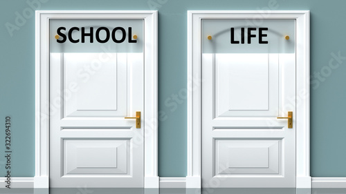 School and life as a choice - pictured as words School, life on doors to show that School and life are opposite options while making decision, 3d illustration