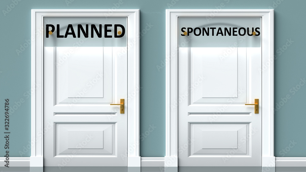 Planned and spontaneous as a choice - pictured as words Planned, spontaneous on doors to show that Planned and spontaneous are opposite options while making decision, 3d illustration Planned and spontaneous as a choice - pictured as words Planned, spontaneous on doors to show that Planned and spontaneous are opposite options while making decision, 3d illustration