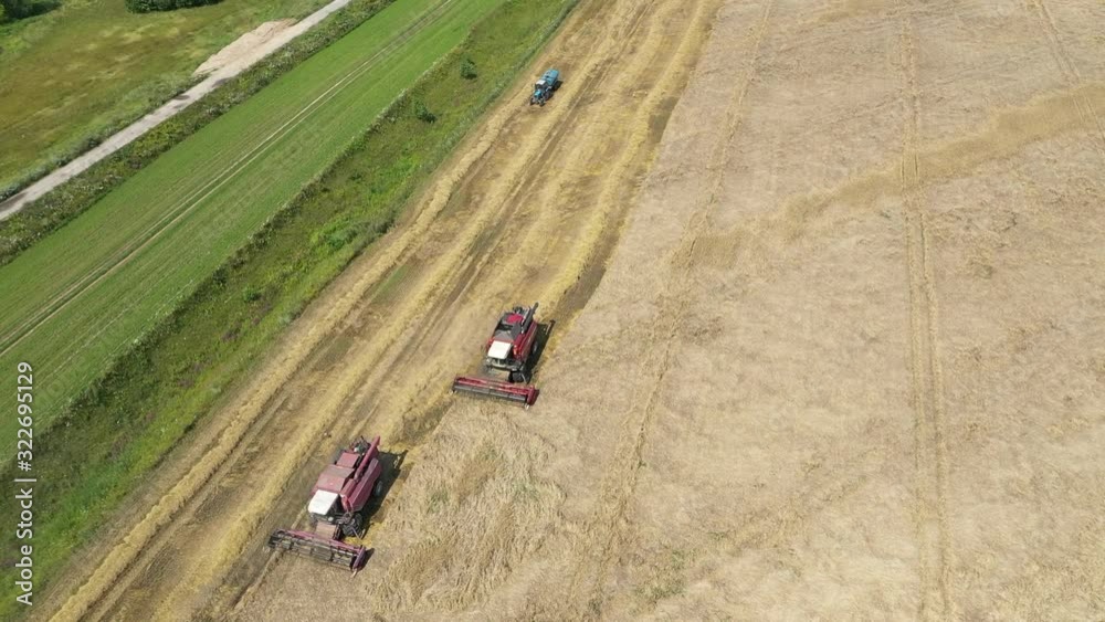 Aerial: Two working harvesting combines in the summer field of wheat cereals. Two red harvesters working in the field. Combine harvester agricultural machine collecting golden ripe wheat on the field. Aerial: Two working harvesting combines in the summer field of wheat cereals. Two red harvesters working in the field. Combine harvester agricultural machine collecting golden ripe wheat on the field.