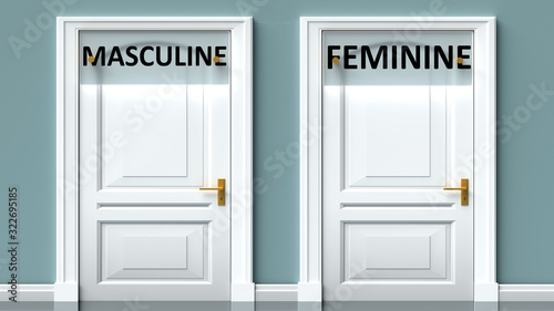 Masculine and feminine as a choice - pictured as words Masculine, feminine on doors to show that Masculine and feminine are opposite options while making decision, 3d illustration