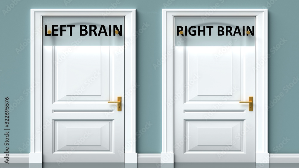 Left brain and right brain as a choice - pictured as words Left brain, right brain on doors to show that Left brain and right brain are opposite options while making decision, 3d illustration Left brain and right brain as a choice - pictured as words Left brain, right brain on doors to show that Left brain and right brain are opposite options while making decision, 3d illustration