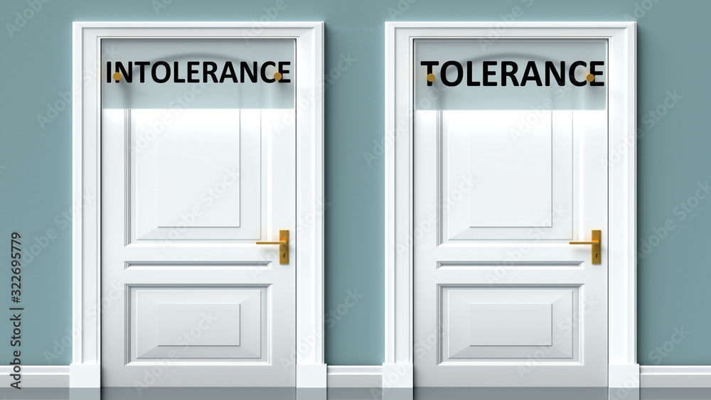 Intolerance and tolerance as a choice - pictured as words Intolerance, tolerance on doors to show that Intolerance and tolerance are opposite options while making decision, 3d illustration Intolerance and tolerance as a choice - pictured as words Intolerance, tolerance on doors to show that Intolerance and tolerance are opposite options while making decision, 3d illustration