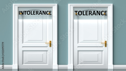 Photos Intolerance and tolerance as a choice - pictured as words Intolerance, tolerance