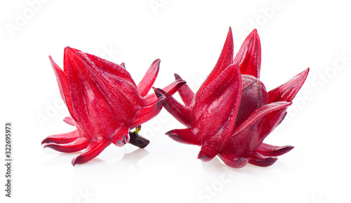 Roselle fruits, isolated on white background