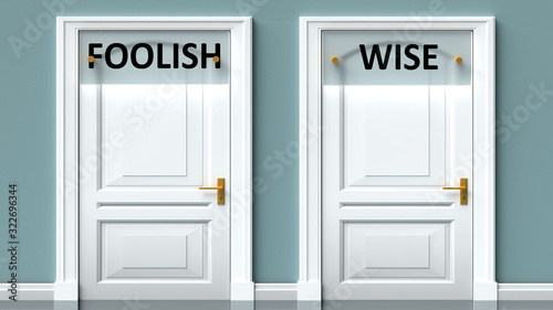 Foolish and wise as a choice - pictured as words Foolish, wise on doors to show that Foolish and wise are opposite options while making decision, 3d illustration