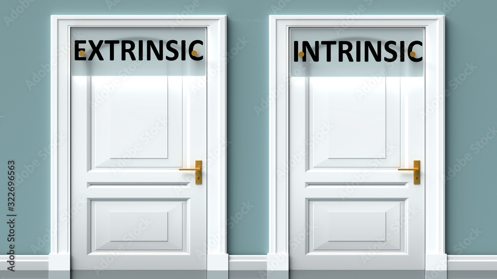 Extrinsic and intrinsic as a choice - pictured as words Extrinsic, intrinsic on doors to show that Extrinsic and intrinsic are opposite options while making decision, 3d illustration Extrinsic and intrinsic as a choice - pictured as words Extrinsic, intrinsic on doors to show that Extrinsic and intrinsic are opposite options while making decision, 3d illustration