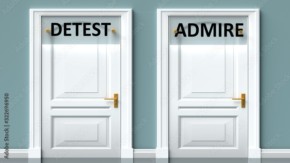 Detest and admire as a choice - pictured as words Detest, admire on doors to show that Detest and admire are opposite options while making decision, 3d illustration Detest and admire as a choice - pictured as words Detest, admire on doors to show that Detest and admire are opposite options while making decision, 3d illustration