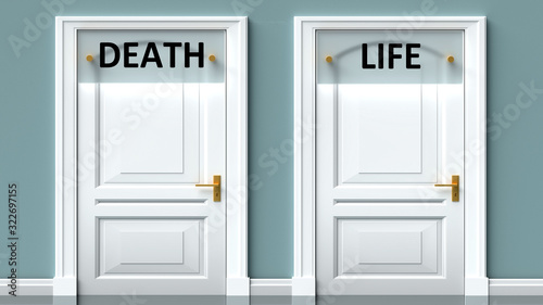 Death and life as a choice - pictured as words Death, life on doors to show that Death and life are opposite options while making decision, 3d illustration