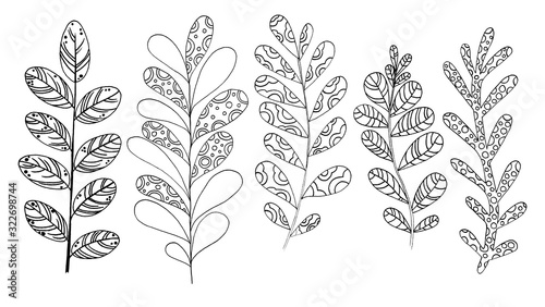 A set of different branches. Cute flowers. Suitable for prints, postcards, fabric. Graphics. Hand drawn