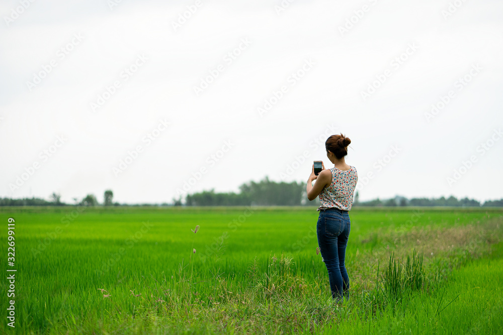 girl take the photo by mobile phone in the field girl take the photo by mobile phone in the field