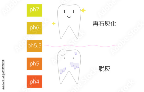 再石灰化と脱灰のpH値のイメージイラスト