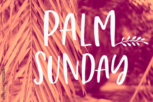 Palm leaf on red background.Palm sunday word and easter day concept.