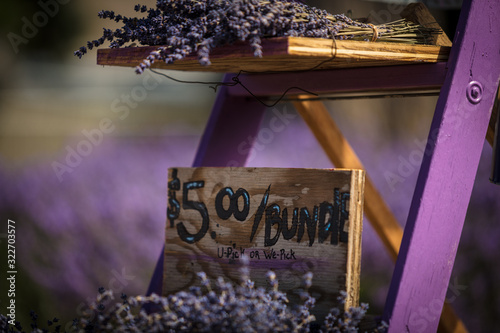 Lavender bundle for sale photo