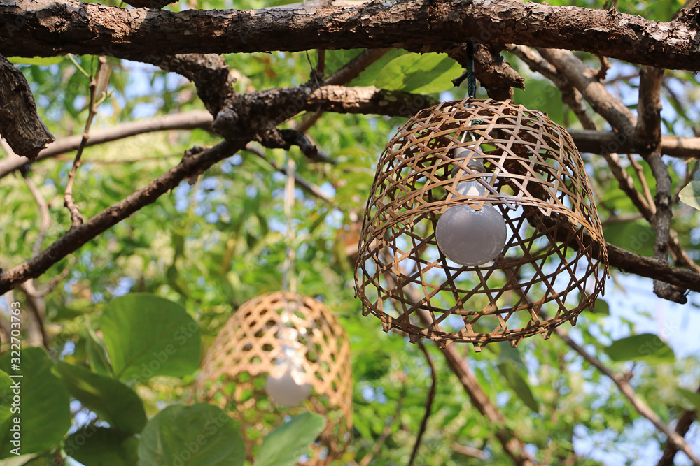 Closeup bamboo lamp with tree, Beautiful rattan texture surface, bamboo pattern, handmade pendant lighting Closeup bamboo lamp with tree, Beautiful rattan texture surface, bamboo pattern, handmade pendant lighting