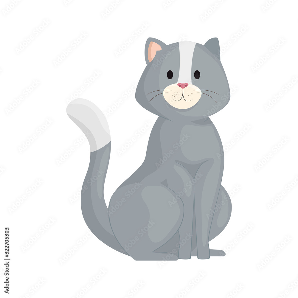 Fototapeta premium cute little cat animal icon vector illustration design