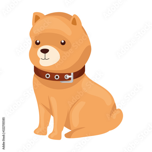 cute dog animal isolated icon vector illustration design