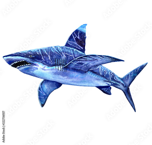 the attacking great white shark with a snarling mouth painted by hand on a white background separated tattoo.