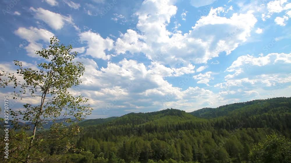mountain Altai, summer view from a high mountain around, summer grass and flowers, white clouds on a blue sky mountain Altai, summer view from a high mountain around, summer grass and flowers, white clouds on a blue sky