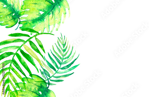 Billede på lærred Watercolor frame tropical leaves and branches isolated