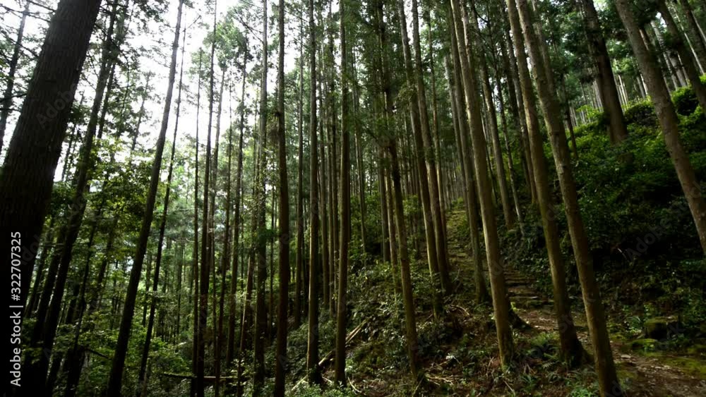熊野古道の大取雲越 熊野古道の大取雲越