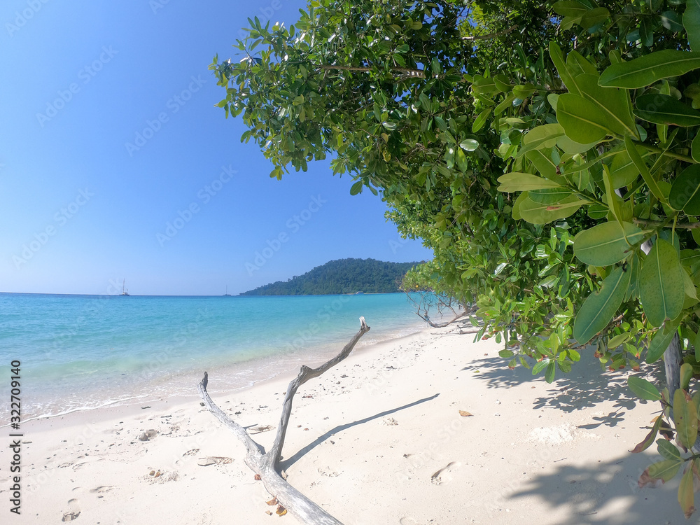 empty tropical beach with green trees in koh kradan in thailand